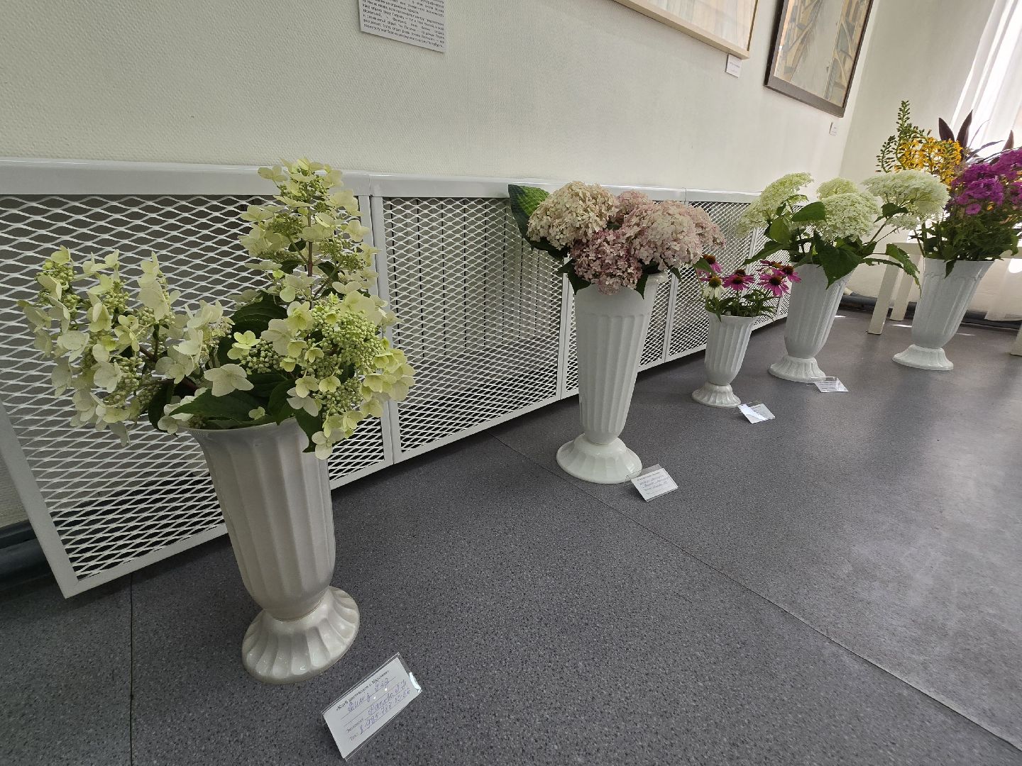 Коломна, цветы, выставка ,