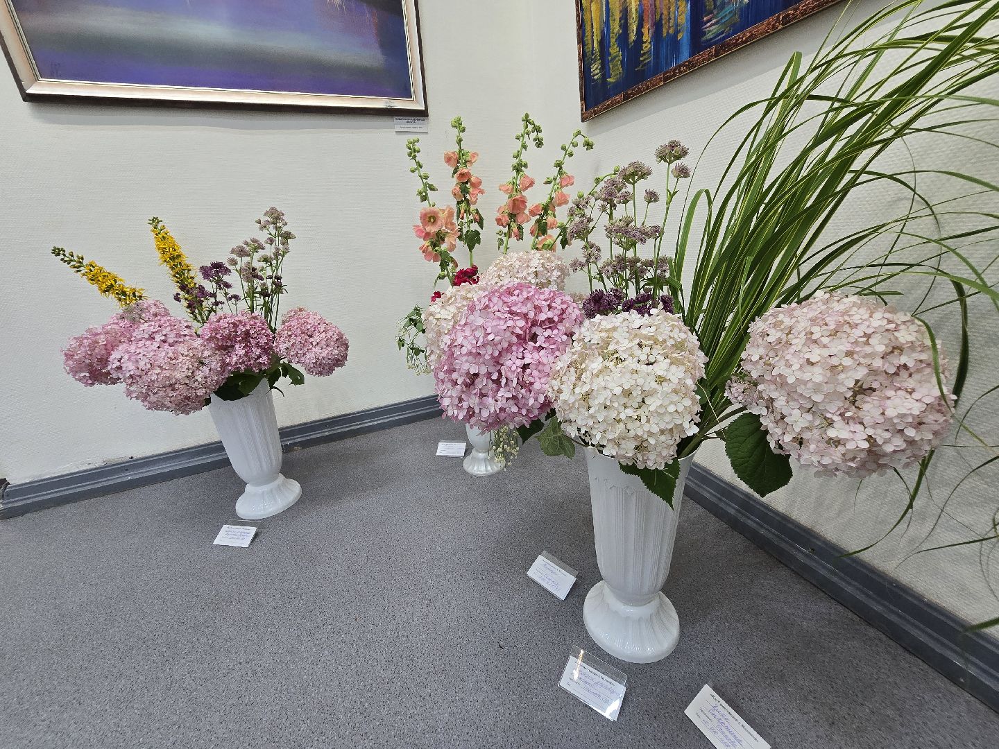 Коломна, цветы, выставка ,