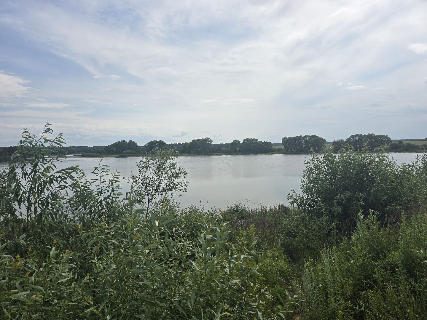 Коломна, 100 прудов и озер, очистка водоемов,
