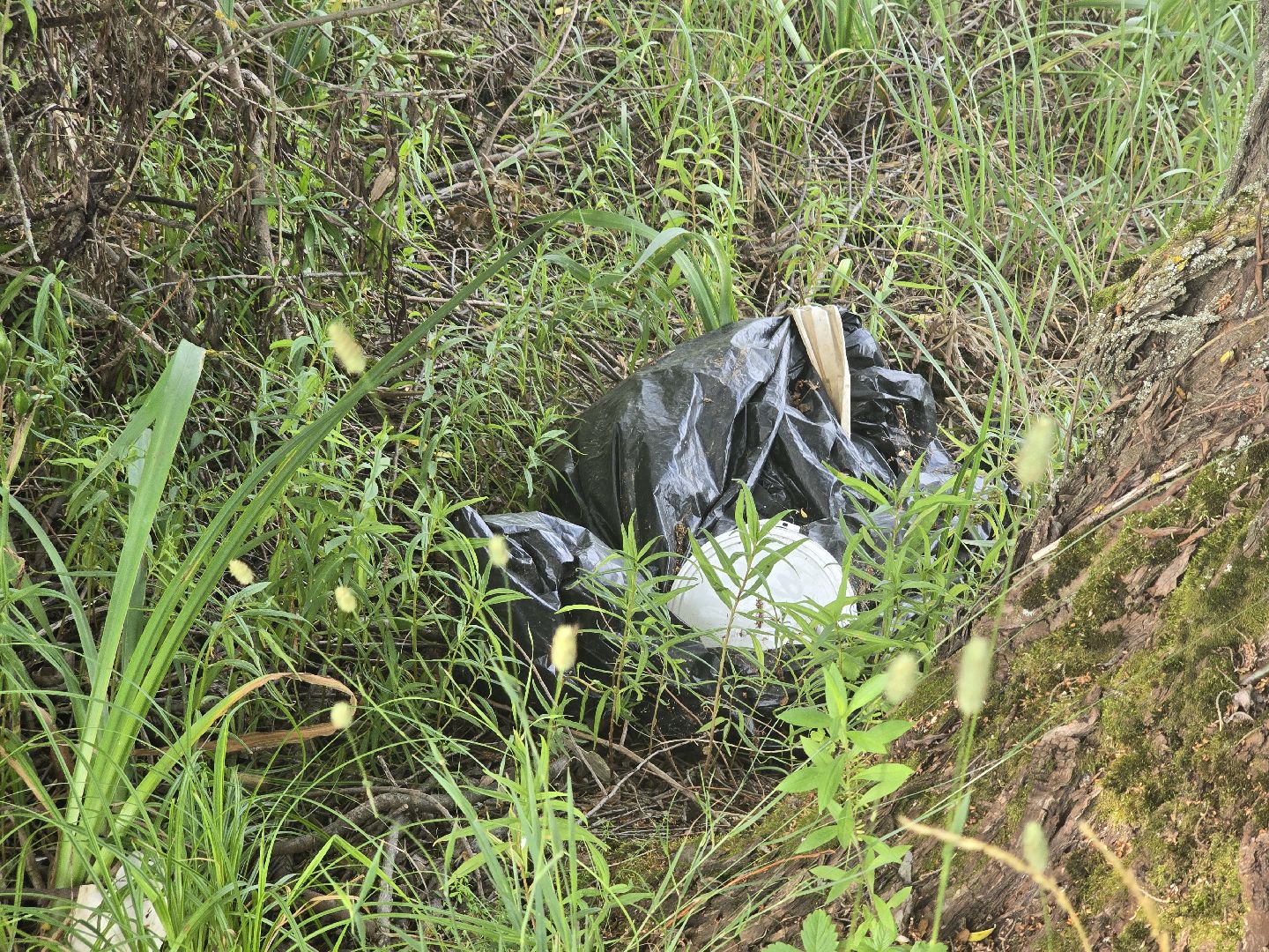 Коломна, 100 прудов и озер, очистка водоемов,