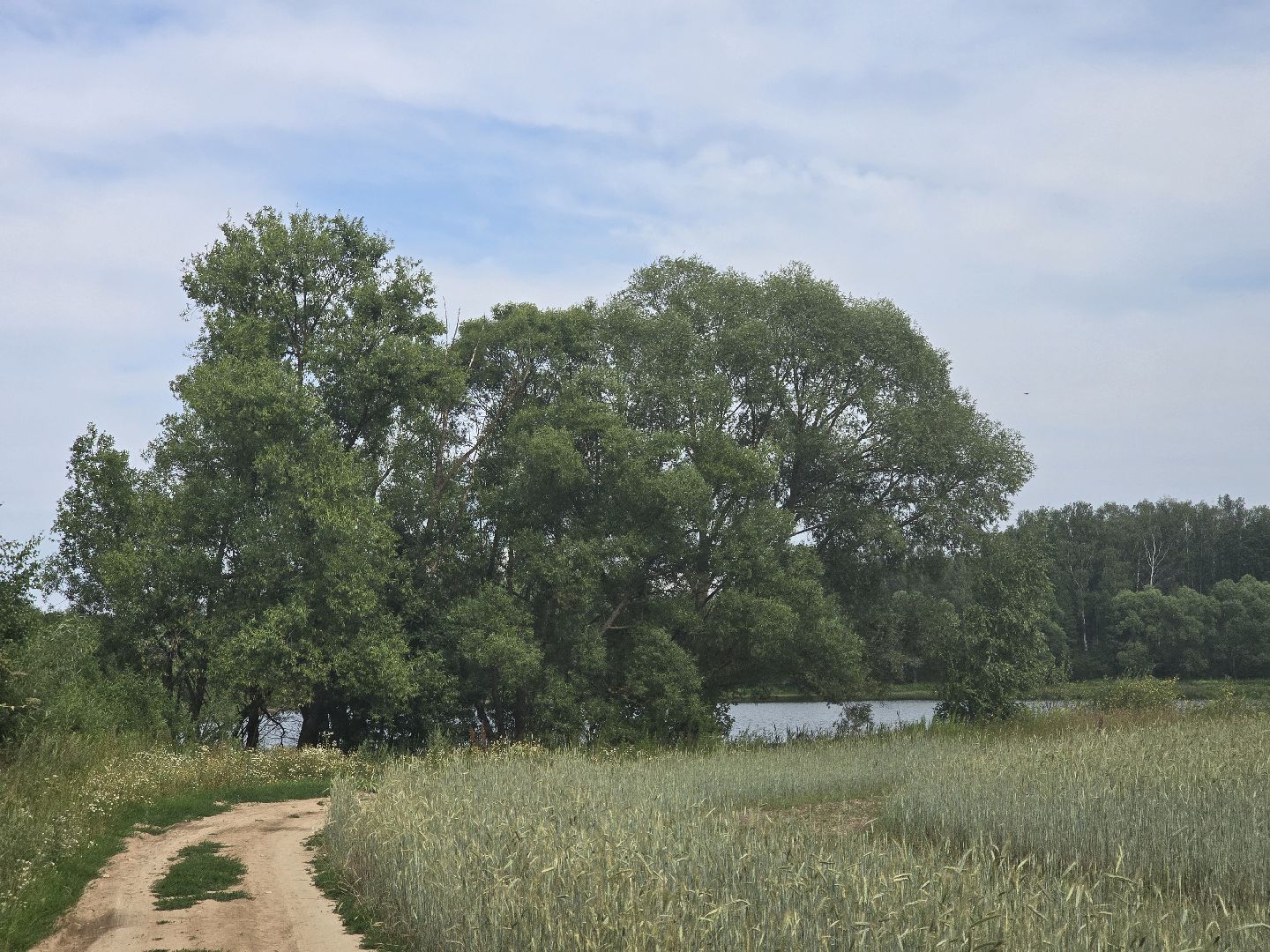 Коломна, 100 прудов и озер, очистка водоемов,