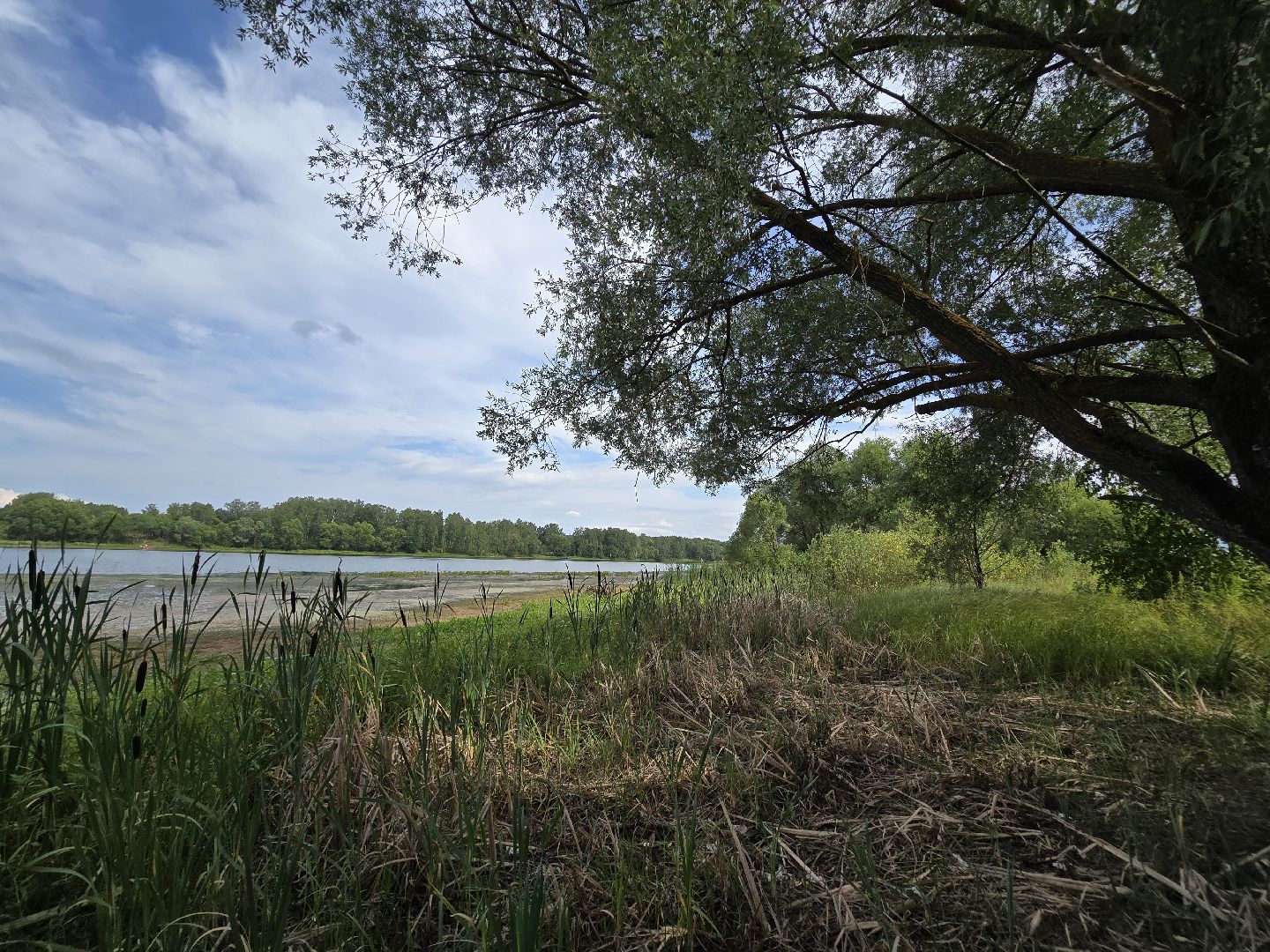 Коломна, 100 прудов и озер, очистка водоемов,