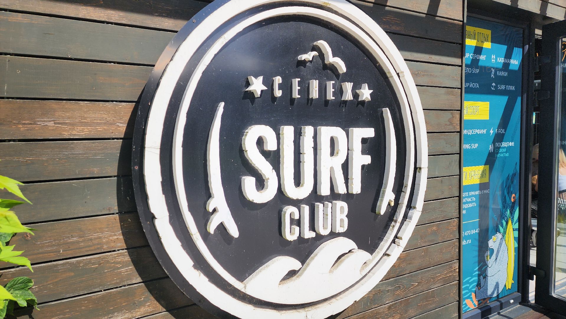 солнечногорск, озеро сенеж, йога, йога на сапе,