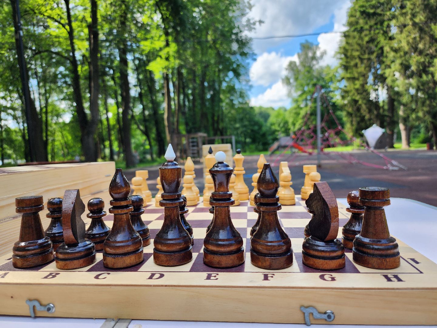 фестиваль, зож, глуховский парк, ногинск, богородский городской округ,