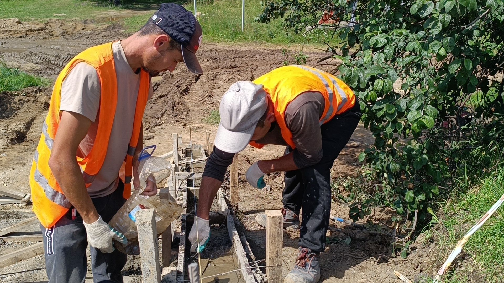 парк, реконструкция, лобня,