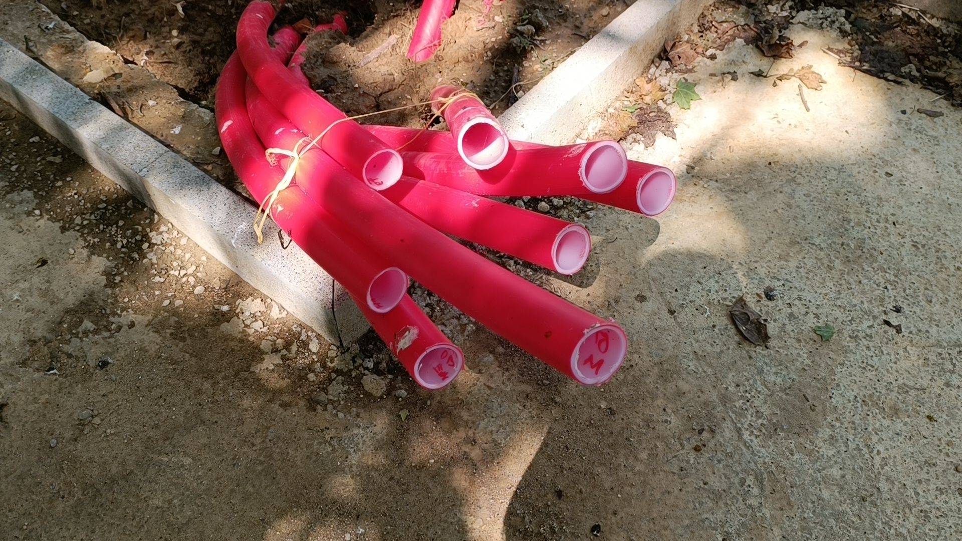 парк, реконструкция, лобня,