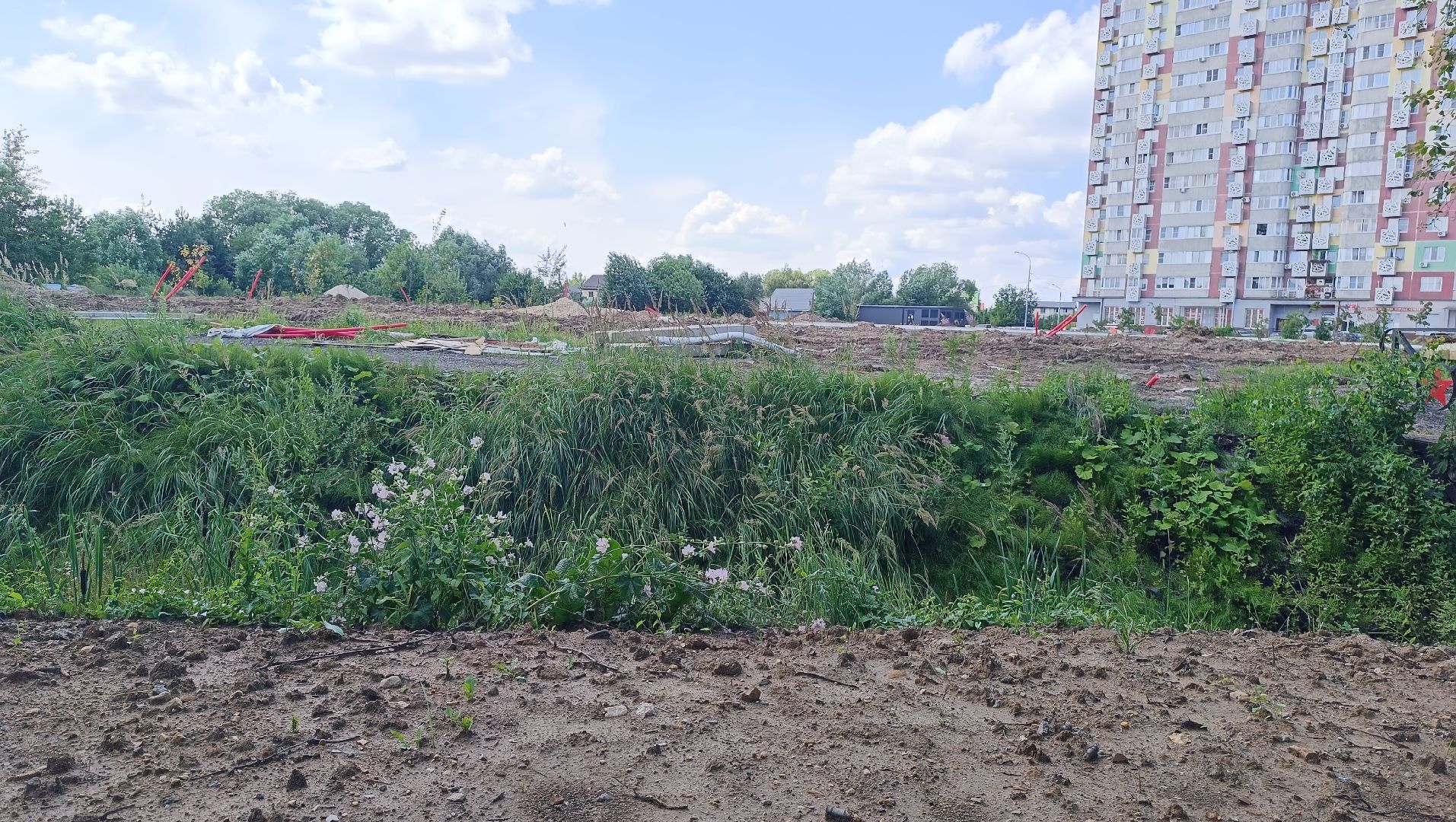 парк, реконструкция, лобня,