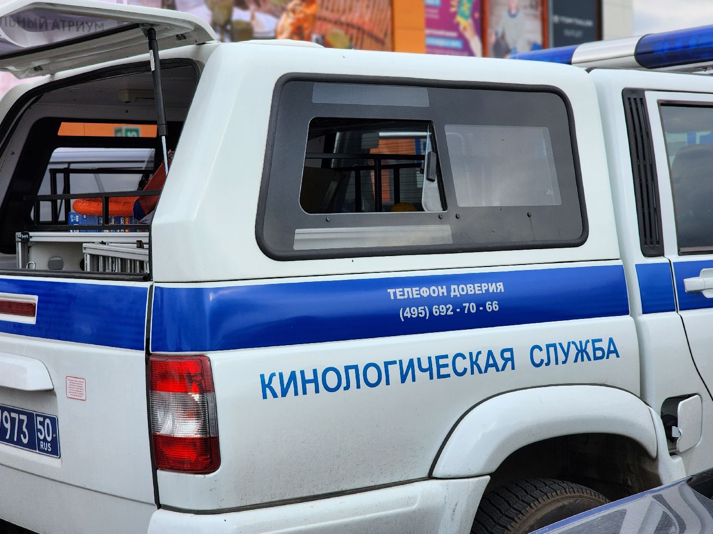 пушкино, пушкинский городской округ, пушкино парк, мчс, пушкинский аварийно-спасательный отряд, пожарная охрана,  пожарные приключение, пушкинское умвд,