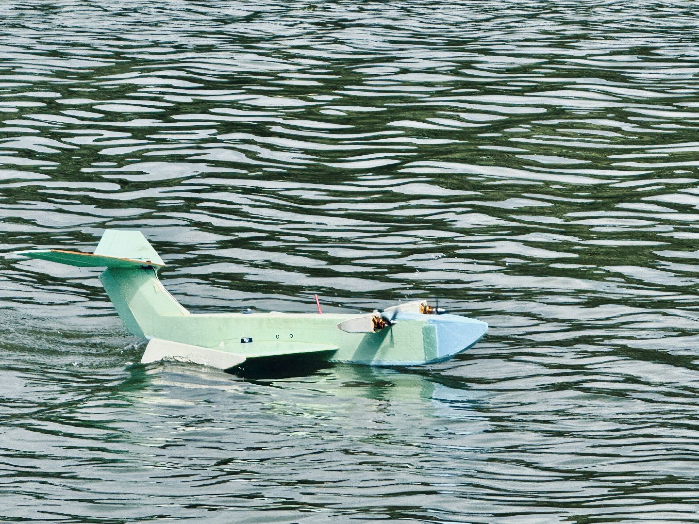 Раменское, борисоглебское озеро, Фестиваль радиоуправляемых гидромоделей, Моделирование,