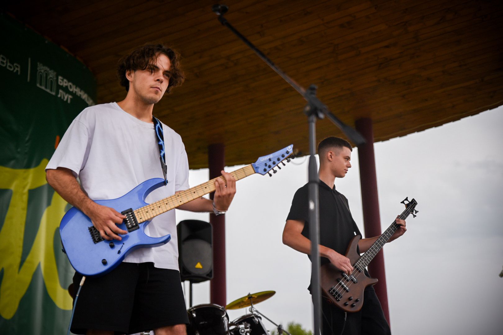 бронницы, ночь в парке бронницы, парк бронницкий луг, альтернативный рок в бронницах, бронницкие музыканты ,