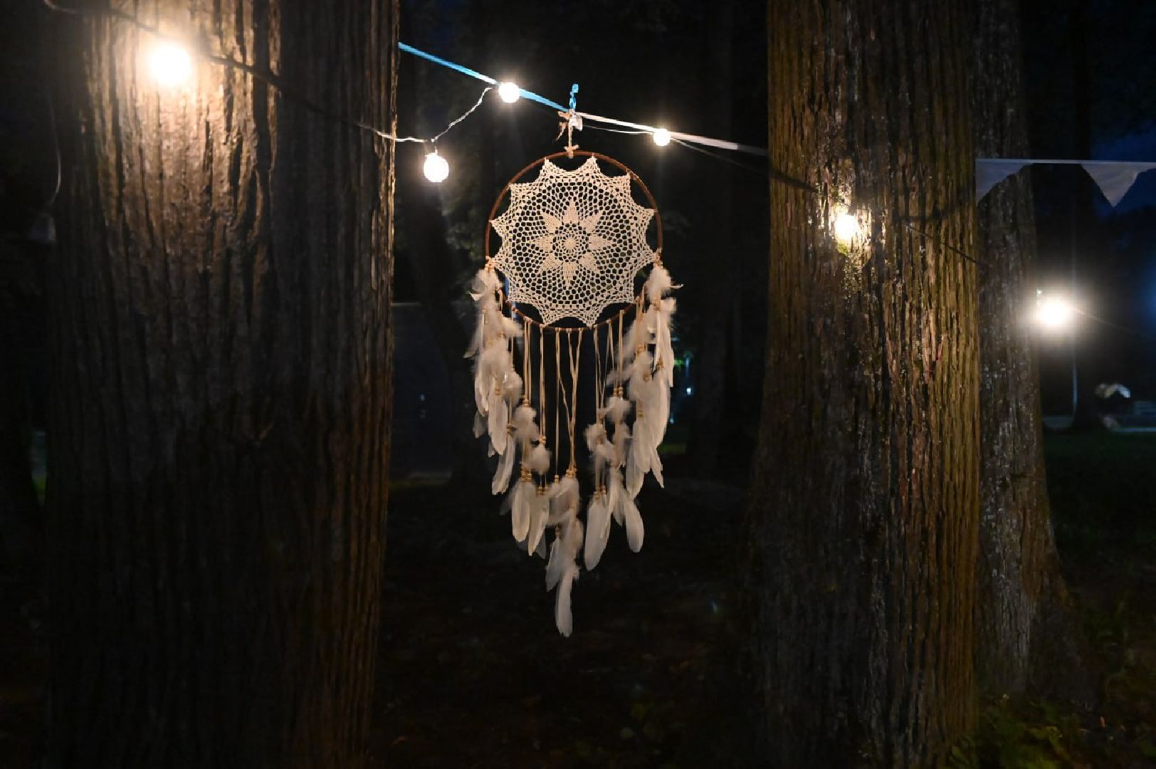 сергиев посад, скитские пруды, ночь в парке, лето в подмосковье, йога, сергиево-посадский муниципальный оркестр, медитация,