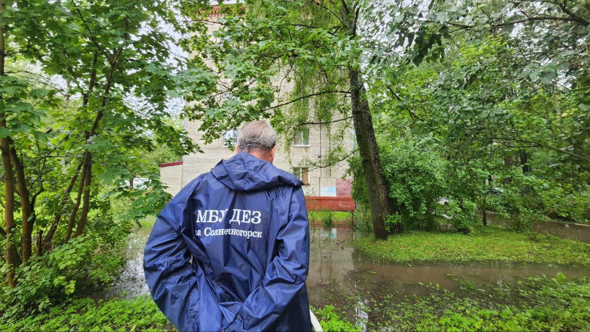 солнечногорск, погода, дождь, устранение последствий,