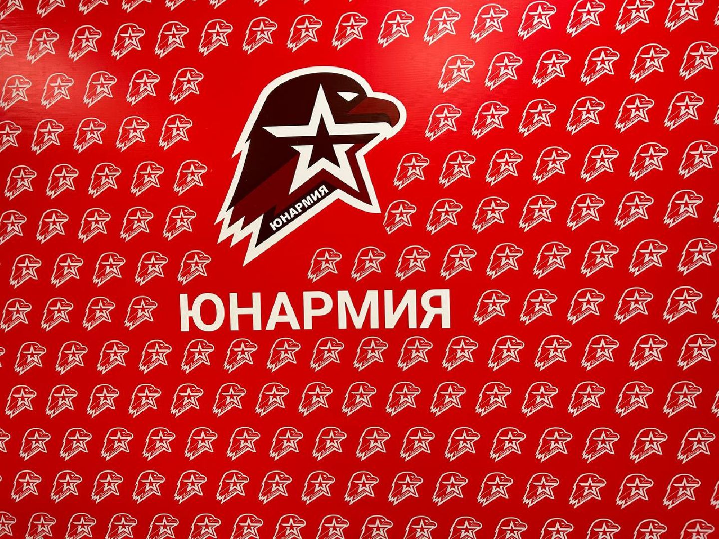 Подольск, юнармейцы