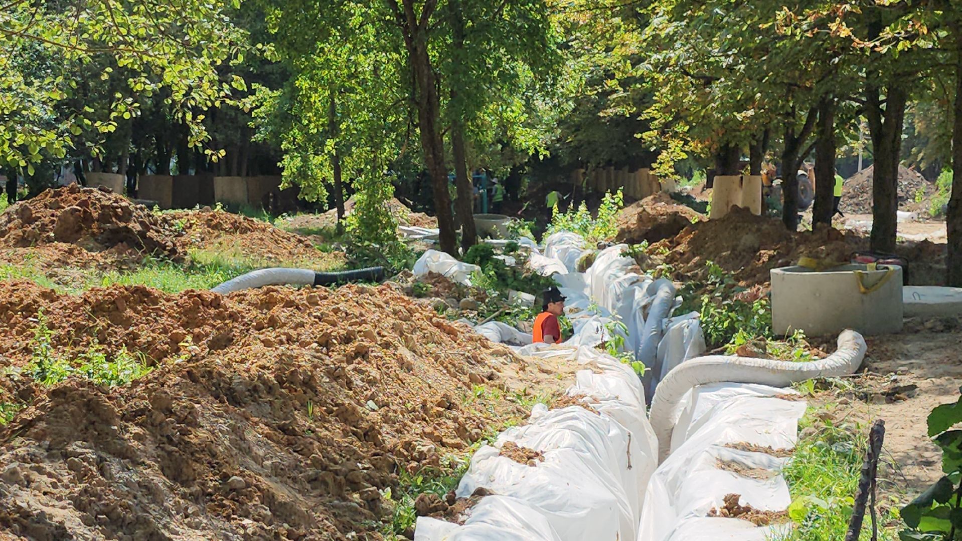 серпухов, подмосковье, капремонт парка, парк питомник,