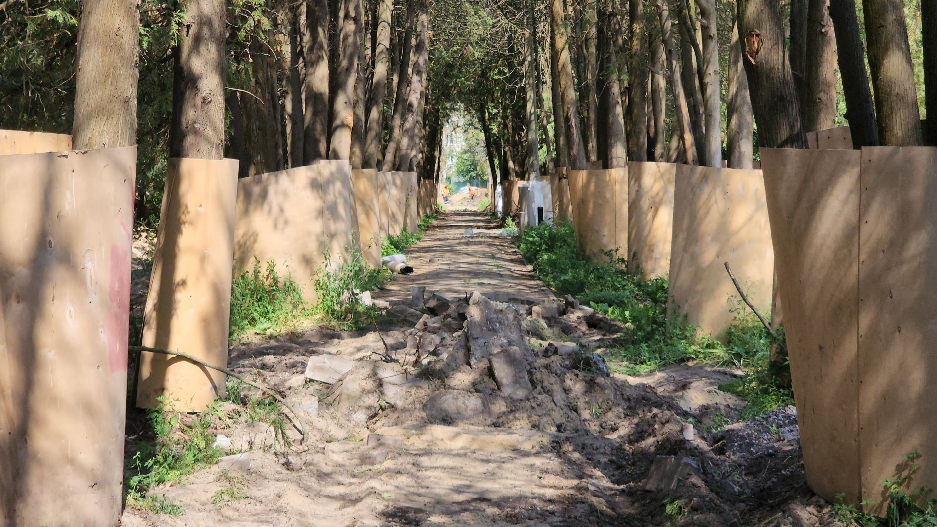 серпухов, подмосковье, капремонт парка, парк питомник,