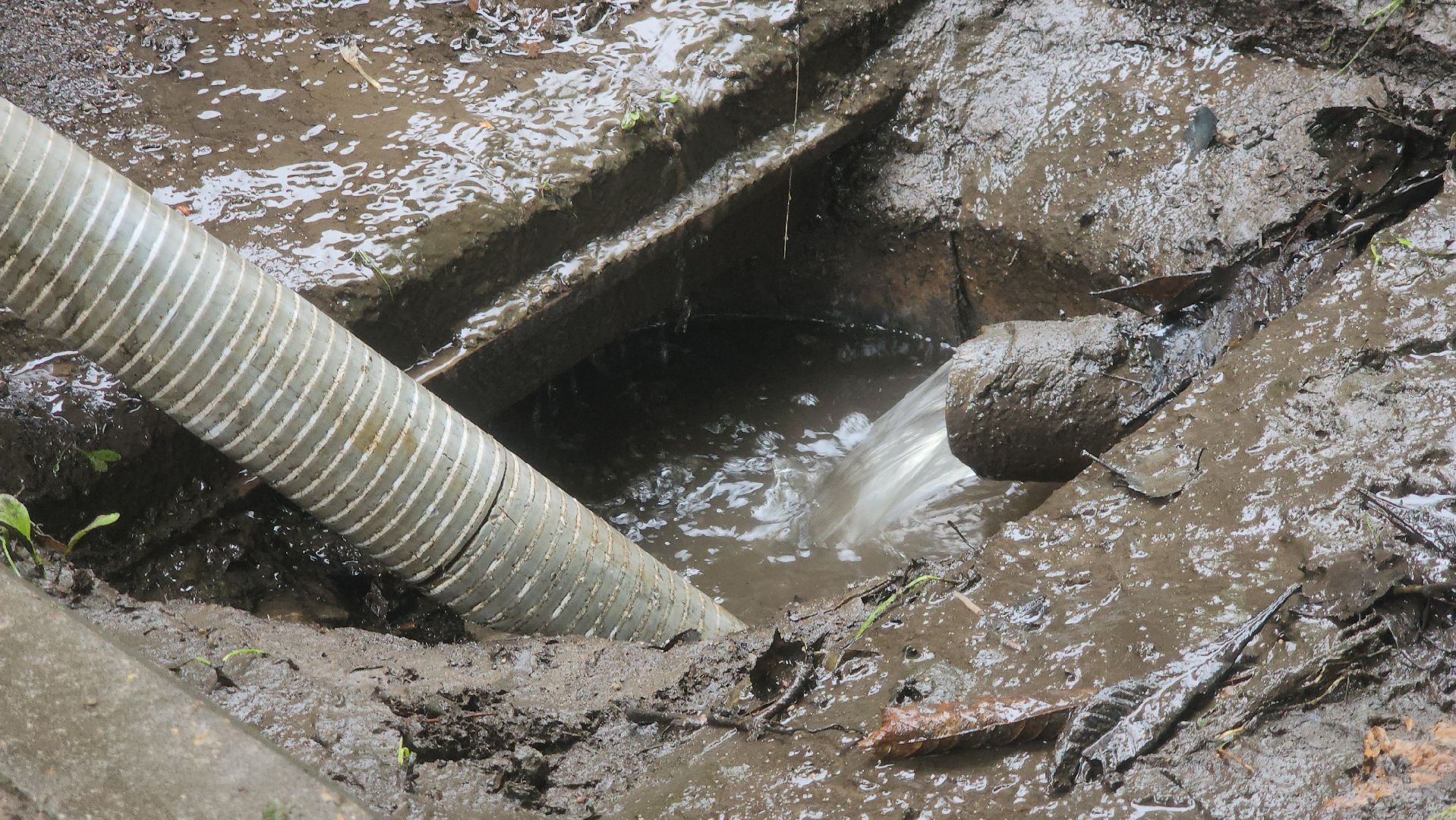 подтопление территории, подтопление домов, Лобня, Откачка воды,