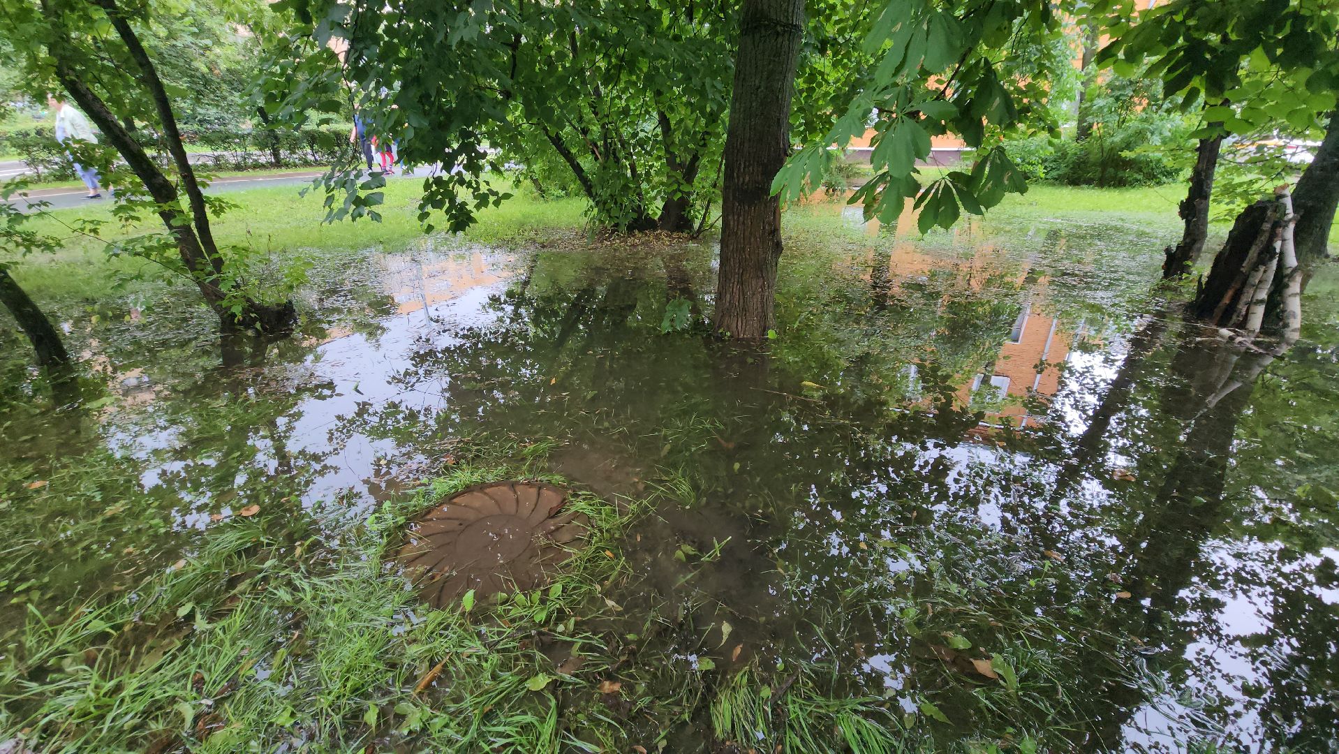 подтопление территории, подтопление домов, Лобня, Откачка воды,