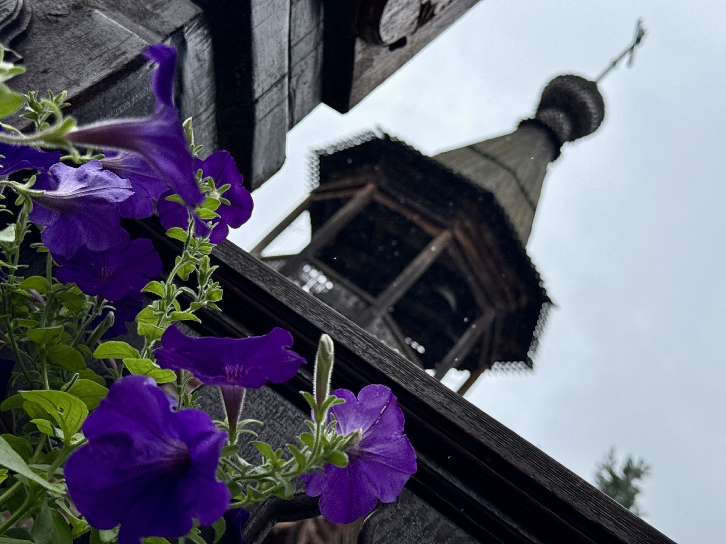 раменское, колокольный звон, фестиваль колокольного звона, казанский храм, раменские звоны,