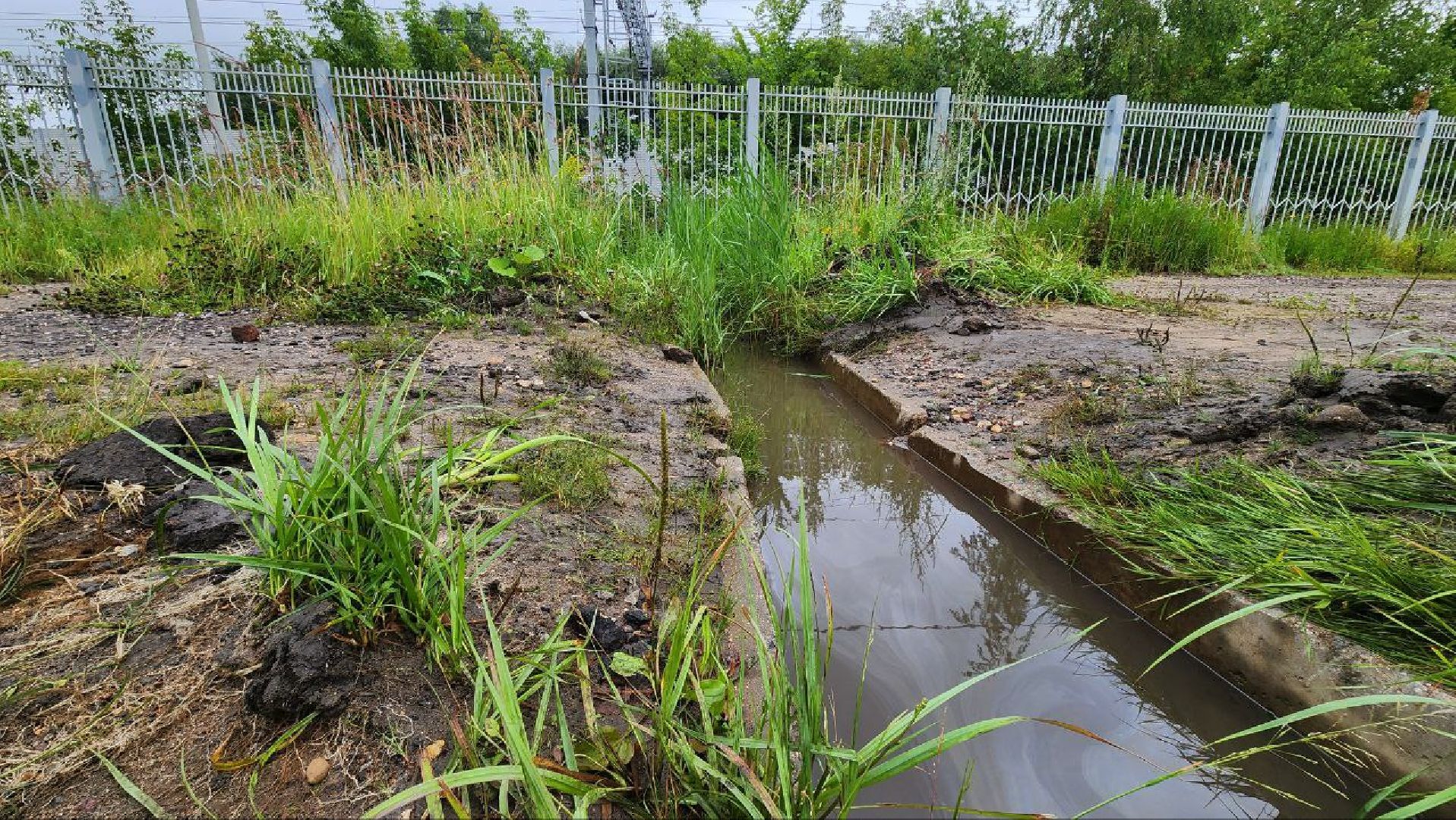 Дмитров, Ливень, Потоп, Некрасовский водоканал,