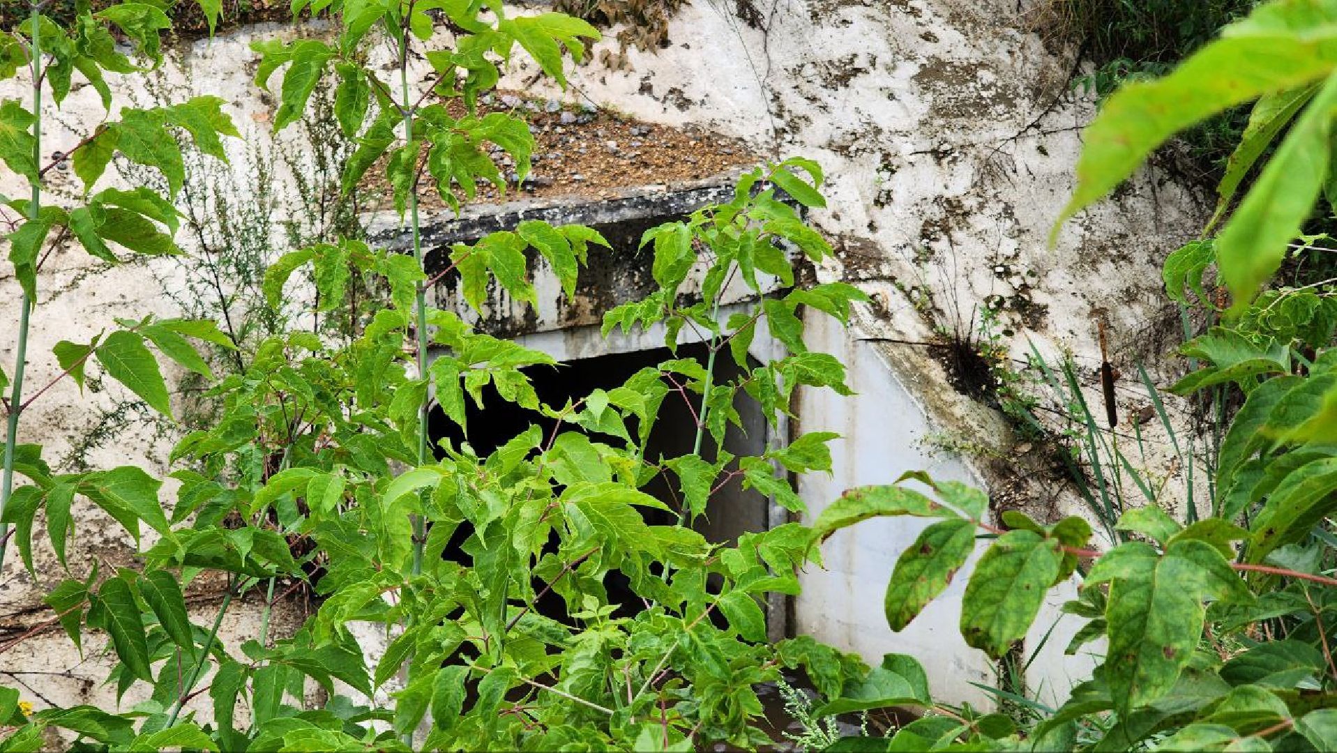 Дмитров, Ливень, Потоп, Некрасовский водоканал,