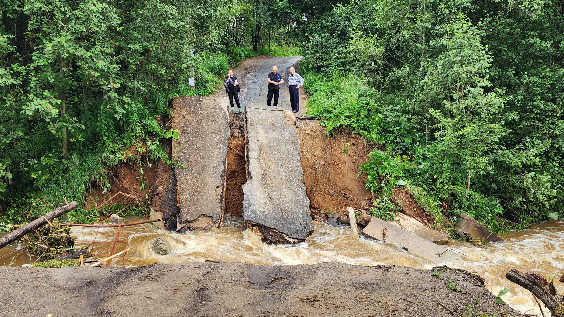 истра, мост, подтопление территории,