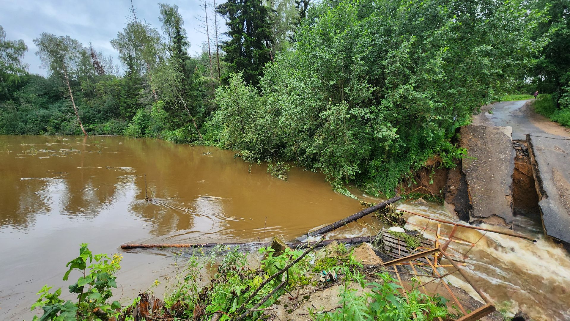 истра, мост, подтопление территории,
