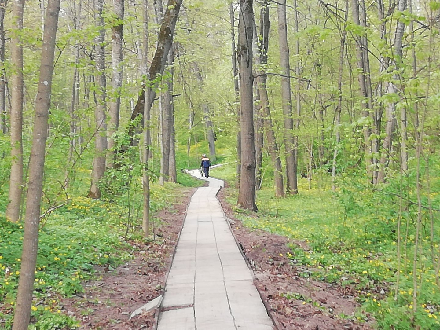 Звенигород, монумент