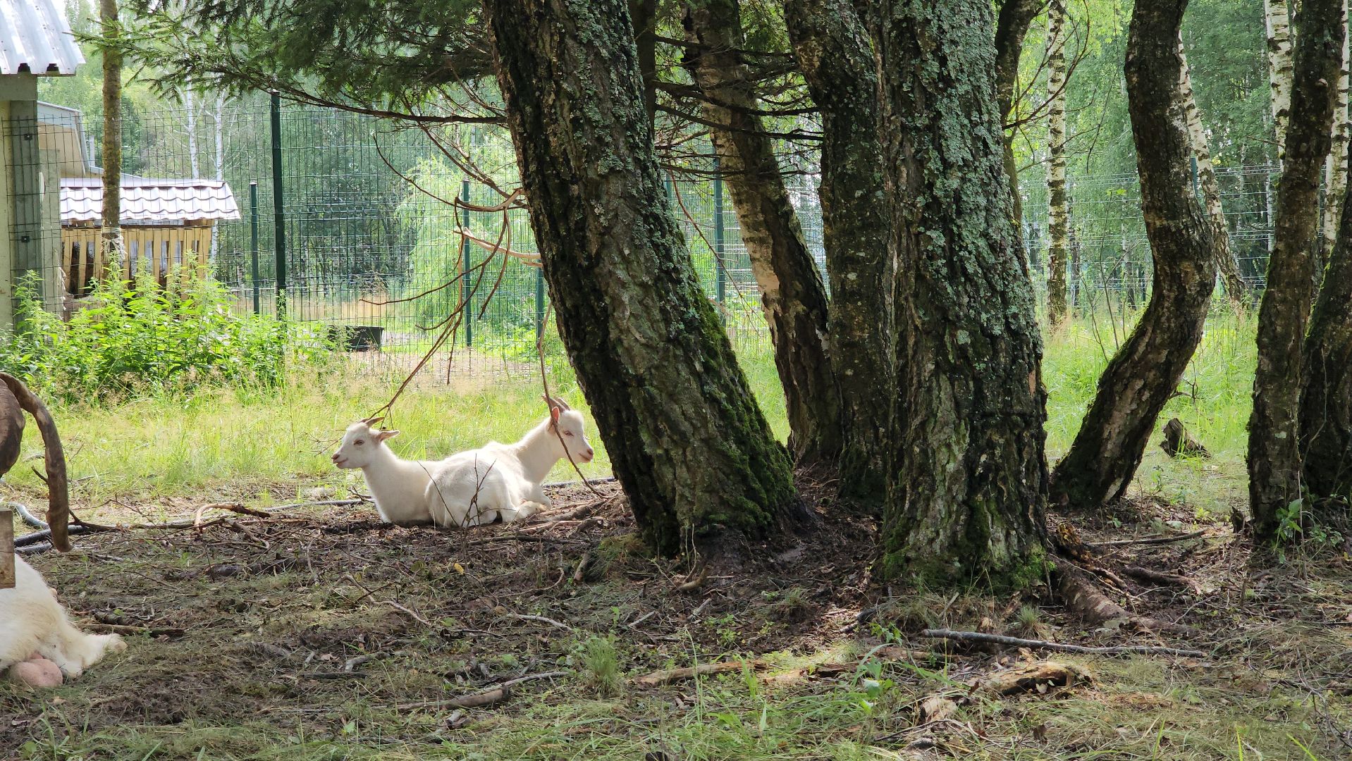ступино, экология, люди, лето в подмосковье,