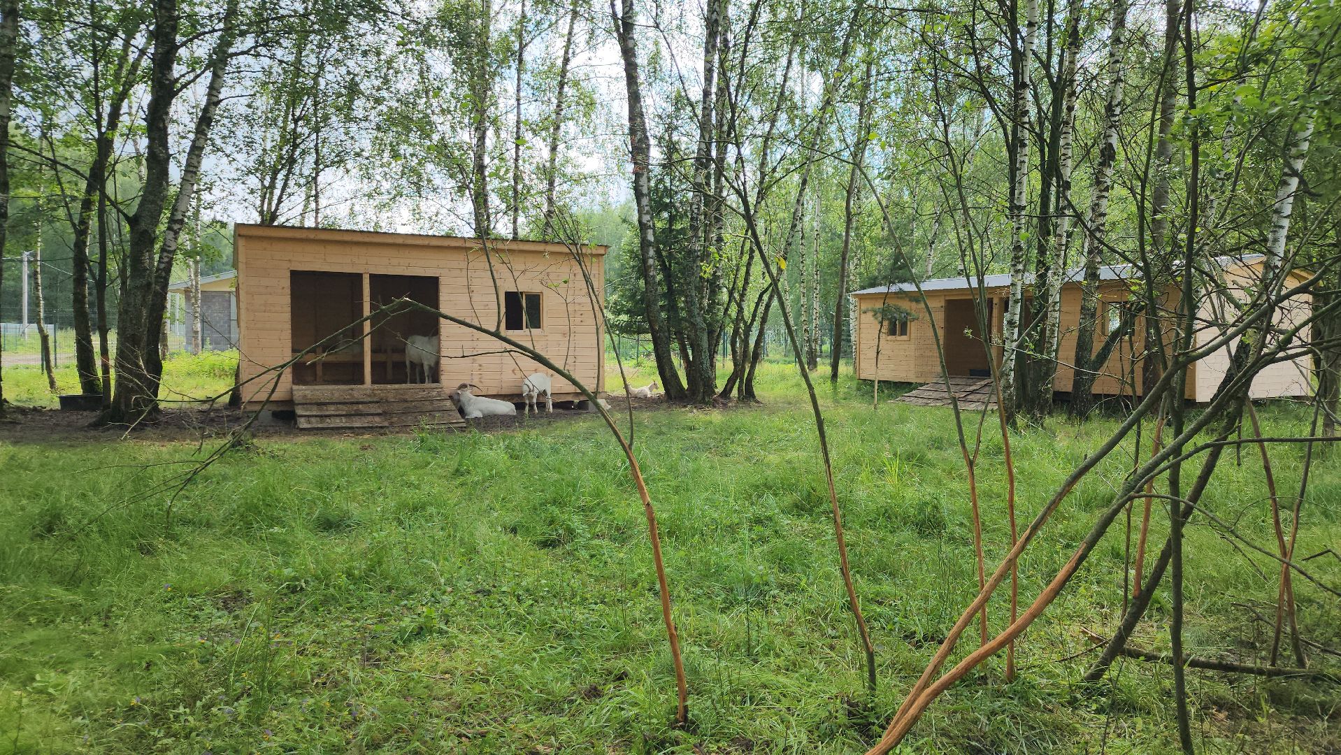 ступино, экология, люди, лето в подмосковье,