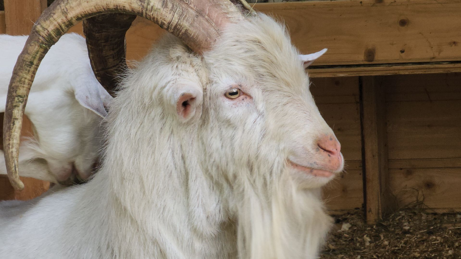 ступино, экология, люди, лето в подмосковье,