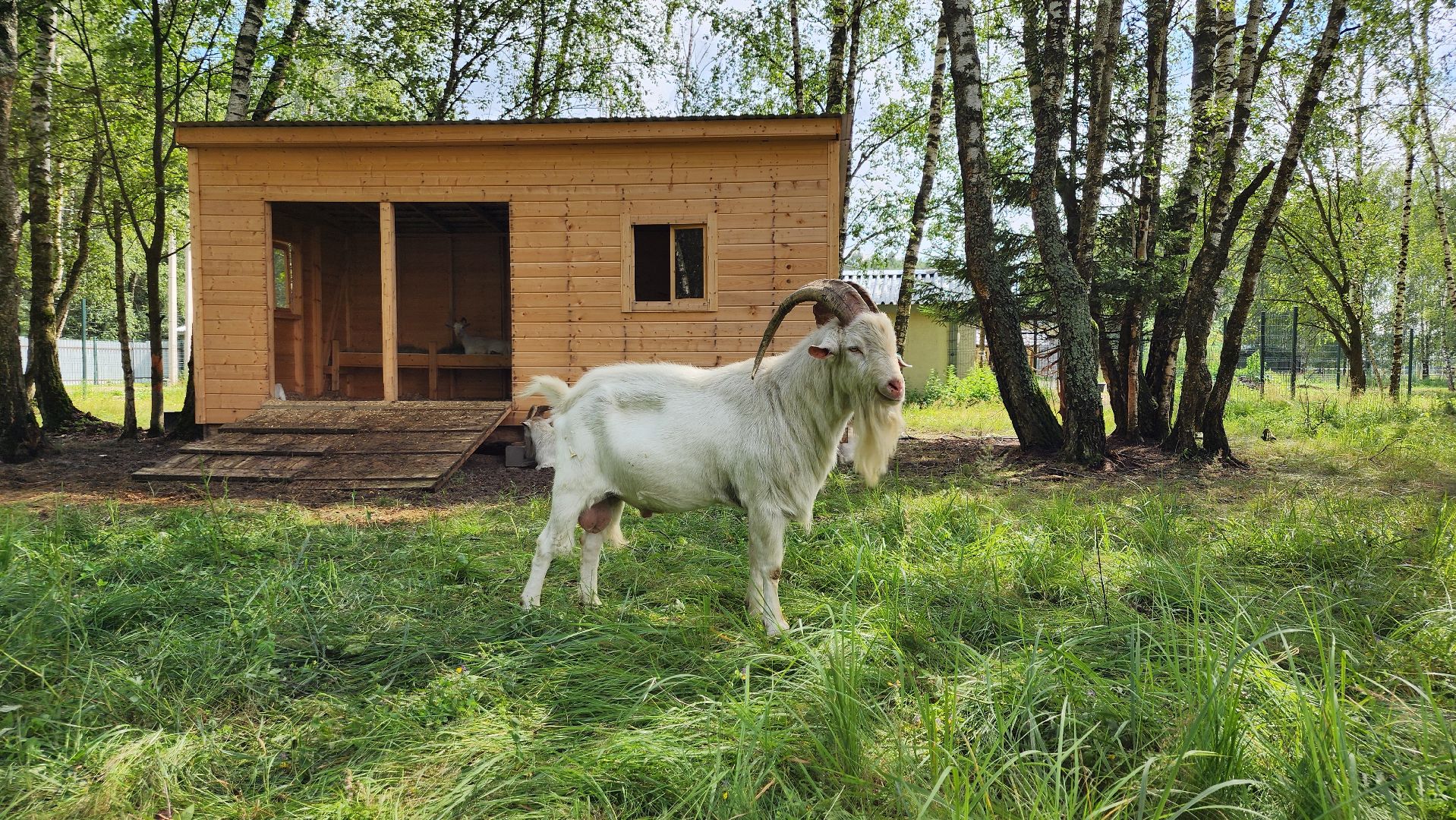 ступино, экология, люди, лето в подмосковье,