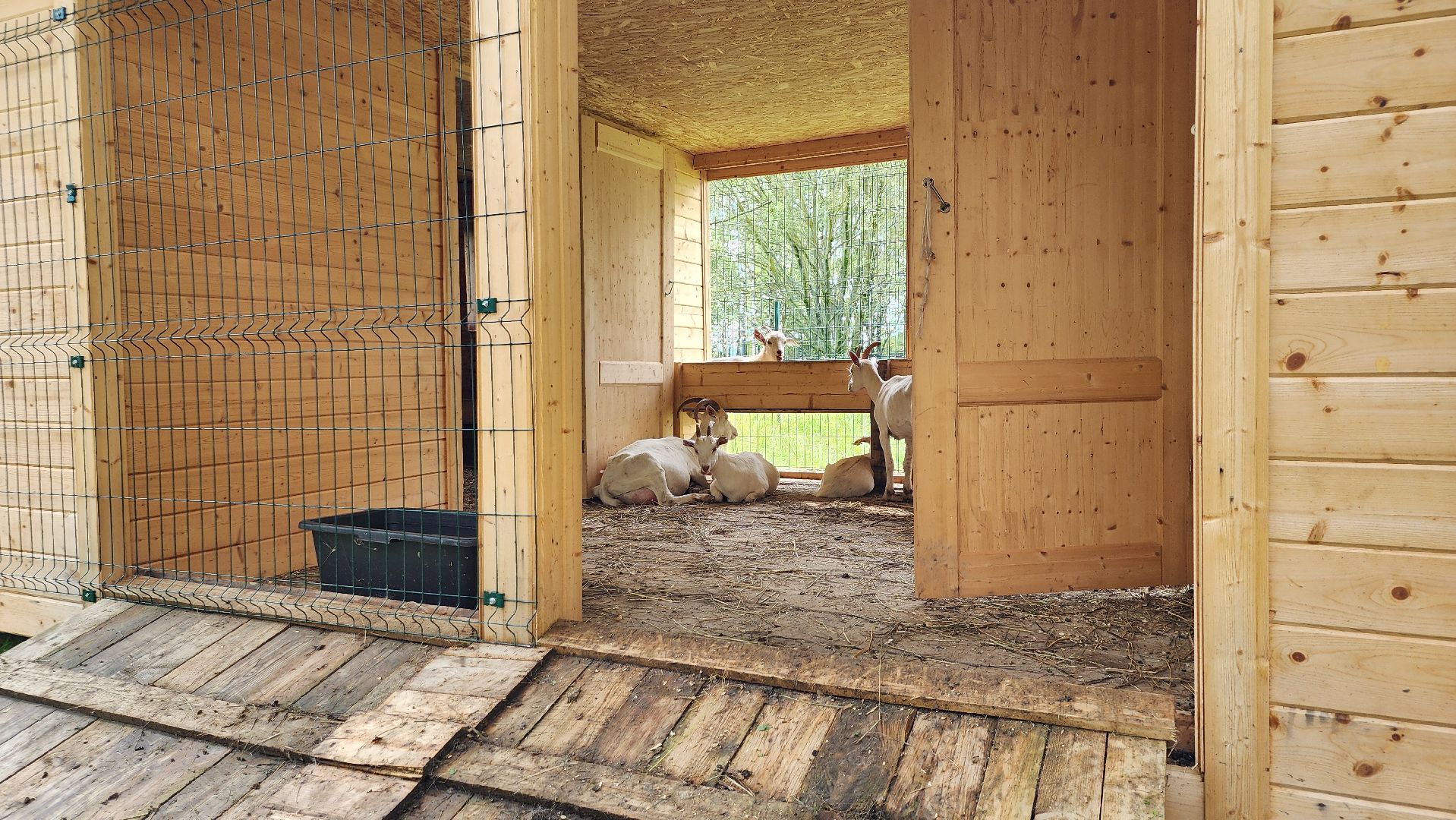 ступино, экология, люди, лето в подмосковье,