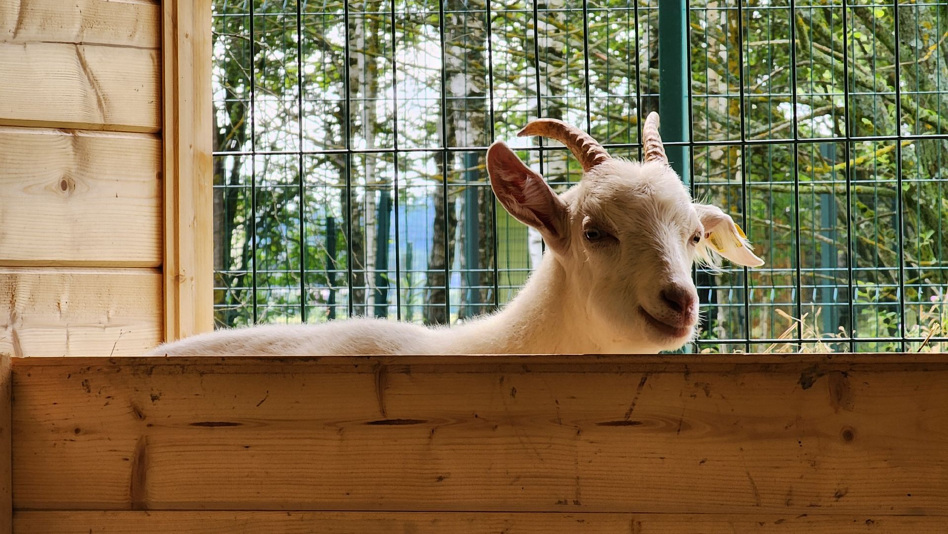 ступино, экология, люди, лето в подмосковье,