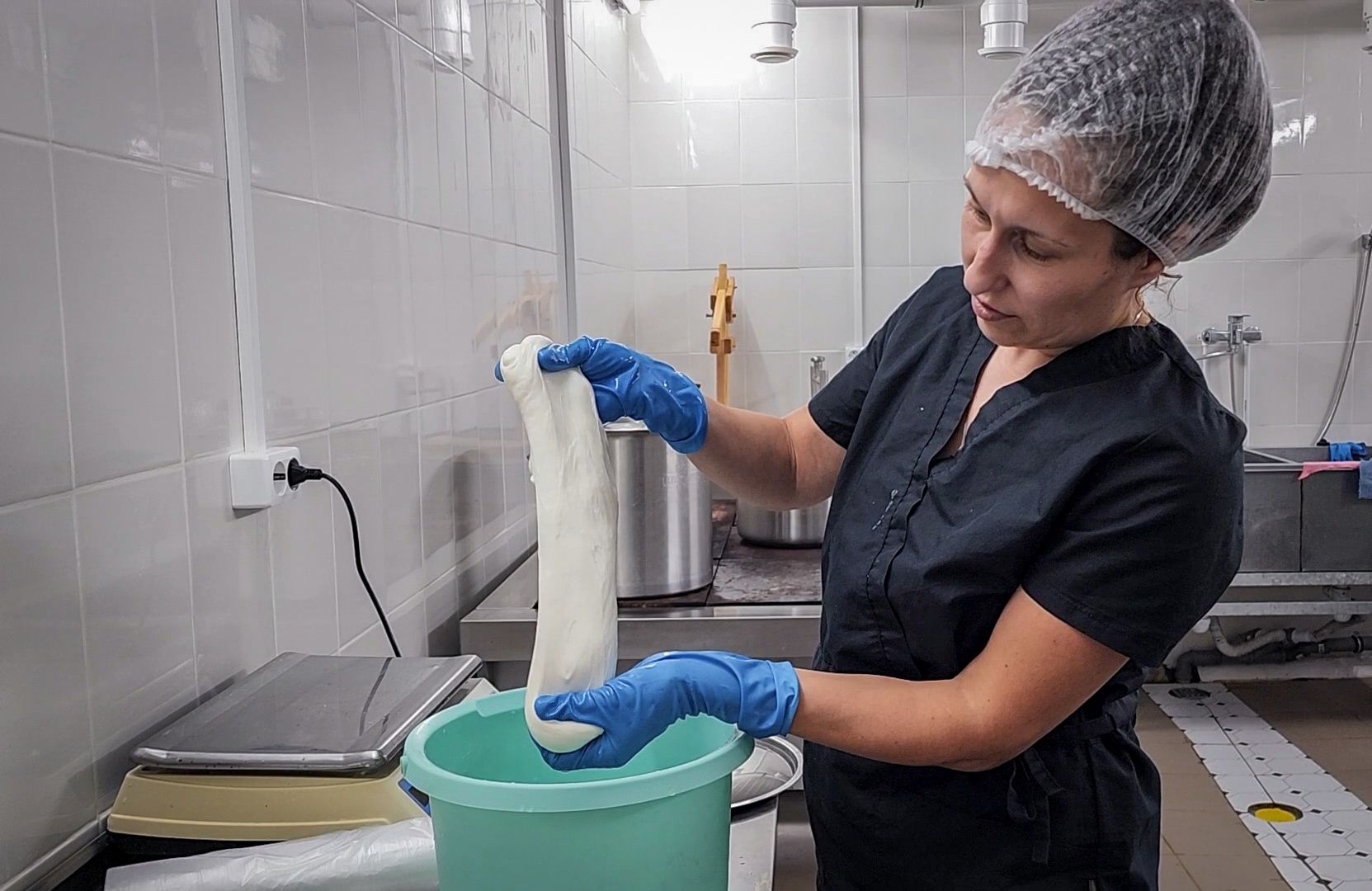 производство сыра, молочная ферма, голштинская порода коров,