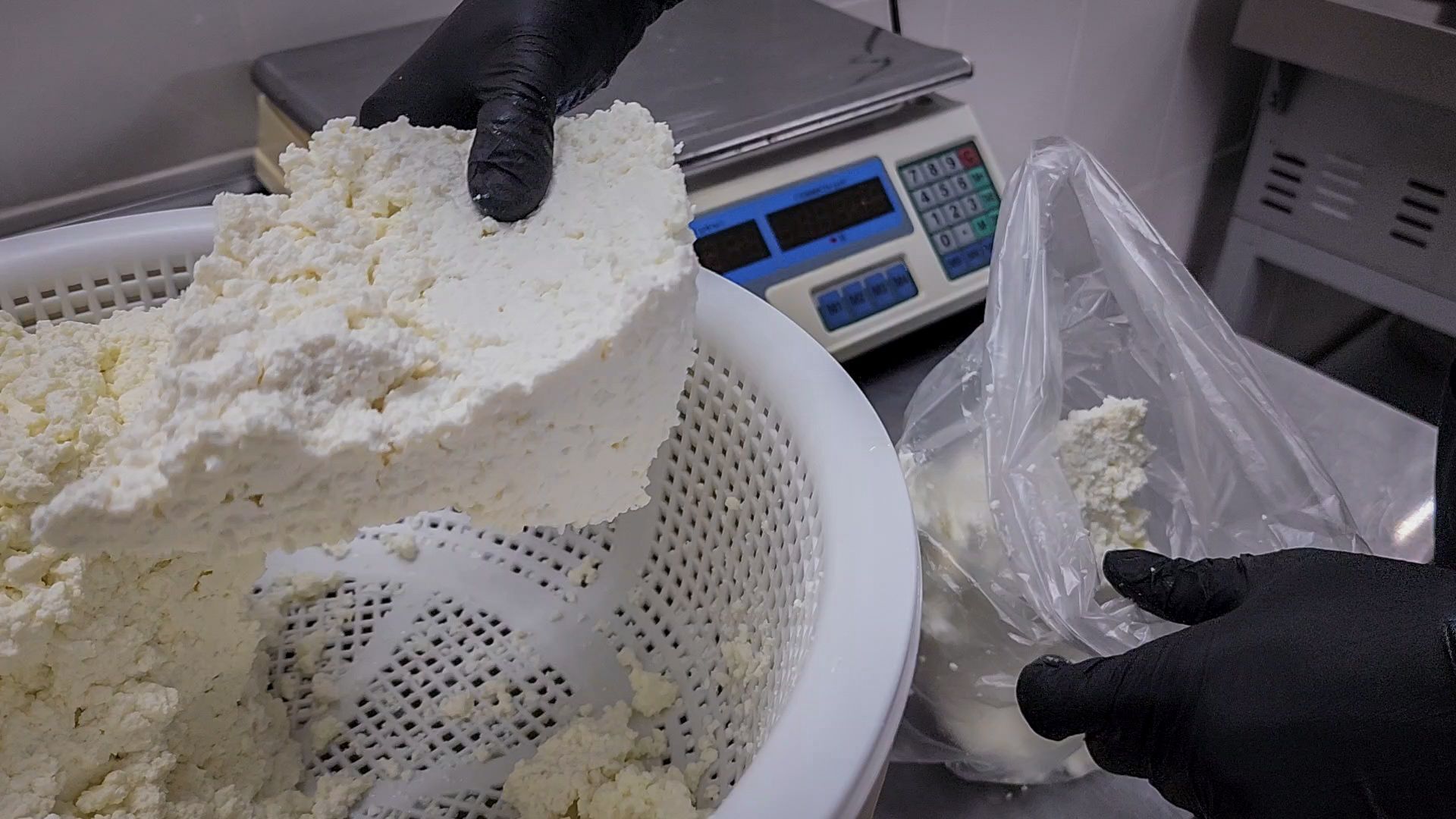 производство сыра, молочная ферма, голштинская порода коров,