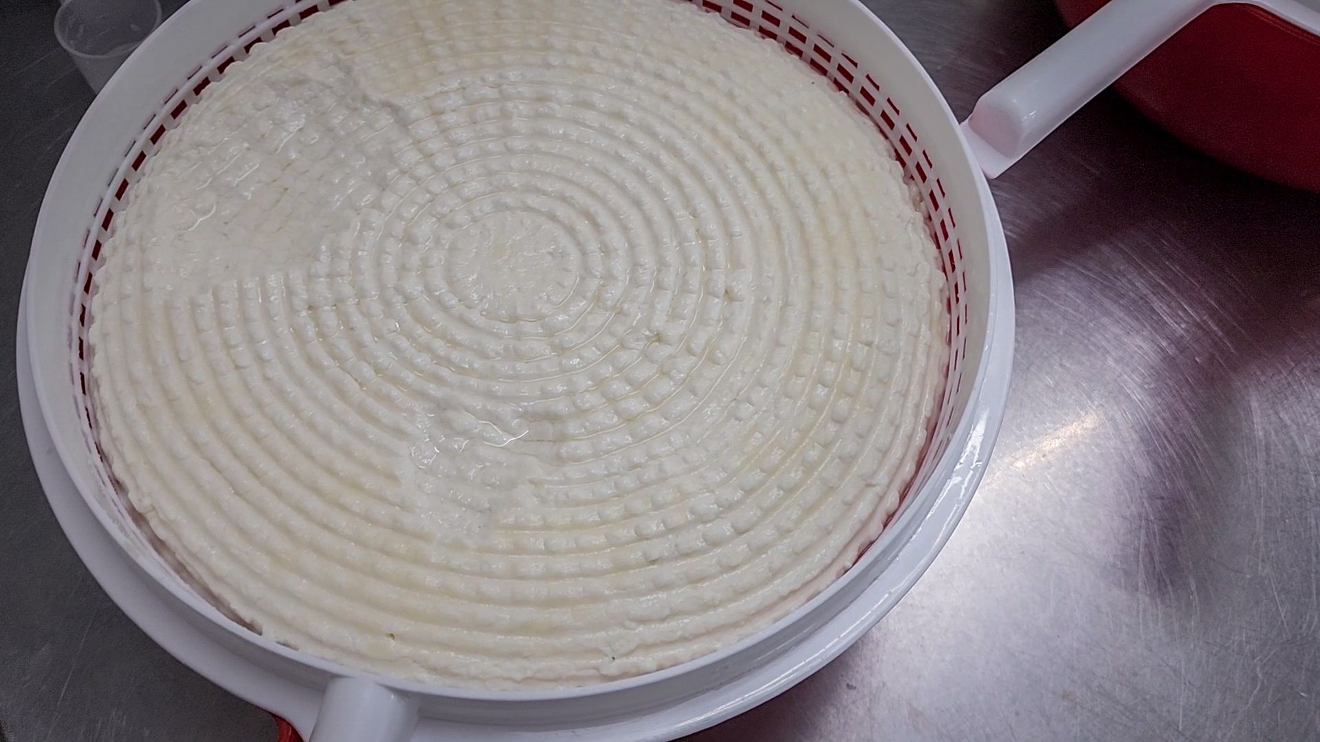 производство сыра, молочная ферма, голштинская порода коров,