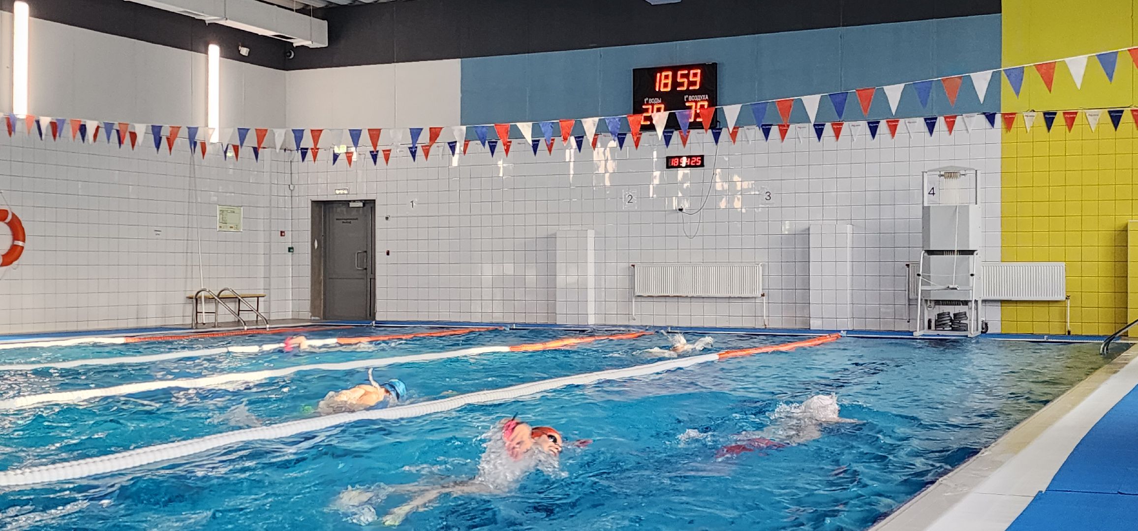 Химки, Спорт, Плавание ,