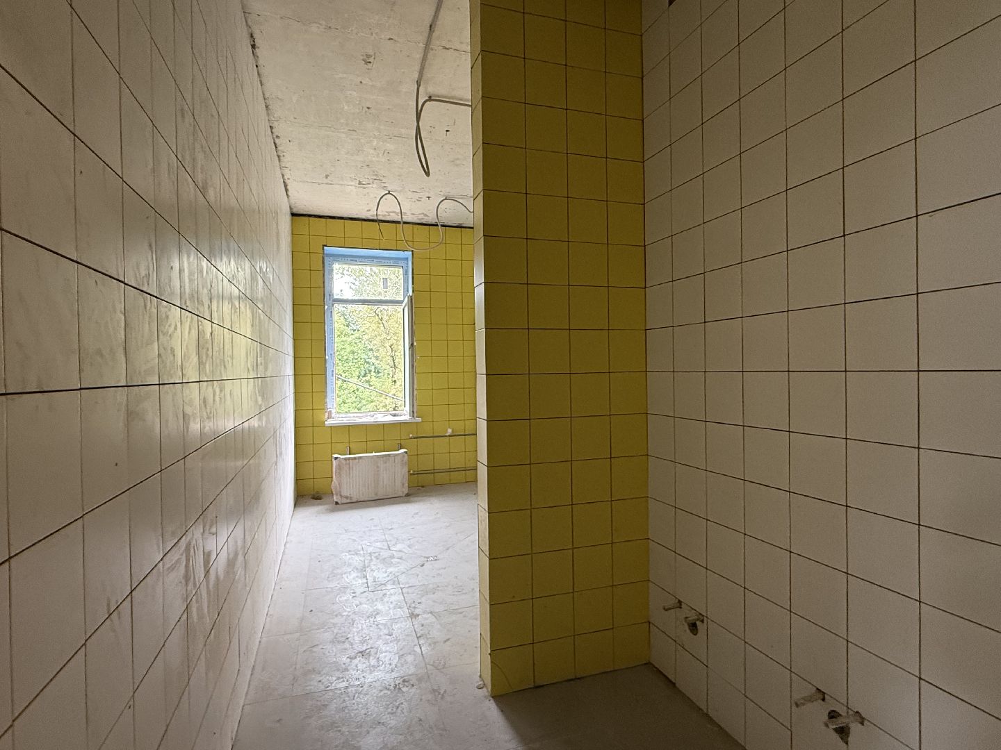 люберцы, гимназия 5, 1 сентября,капитальный  ремонт, глава округа,