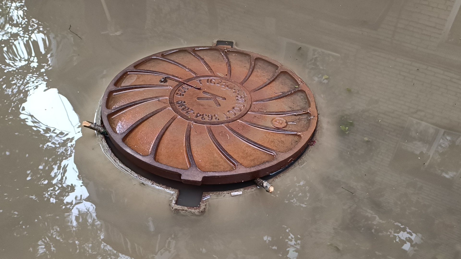 лобня, жкх, подтопление,