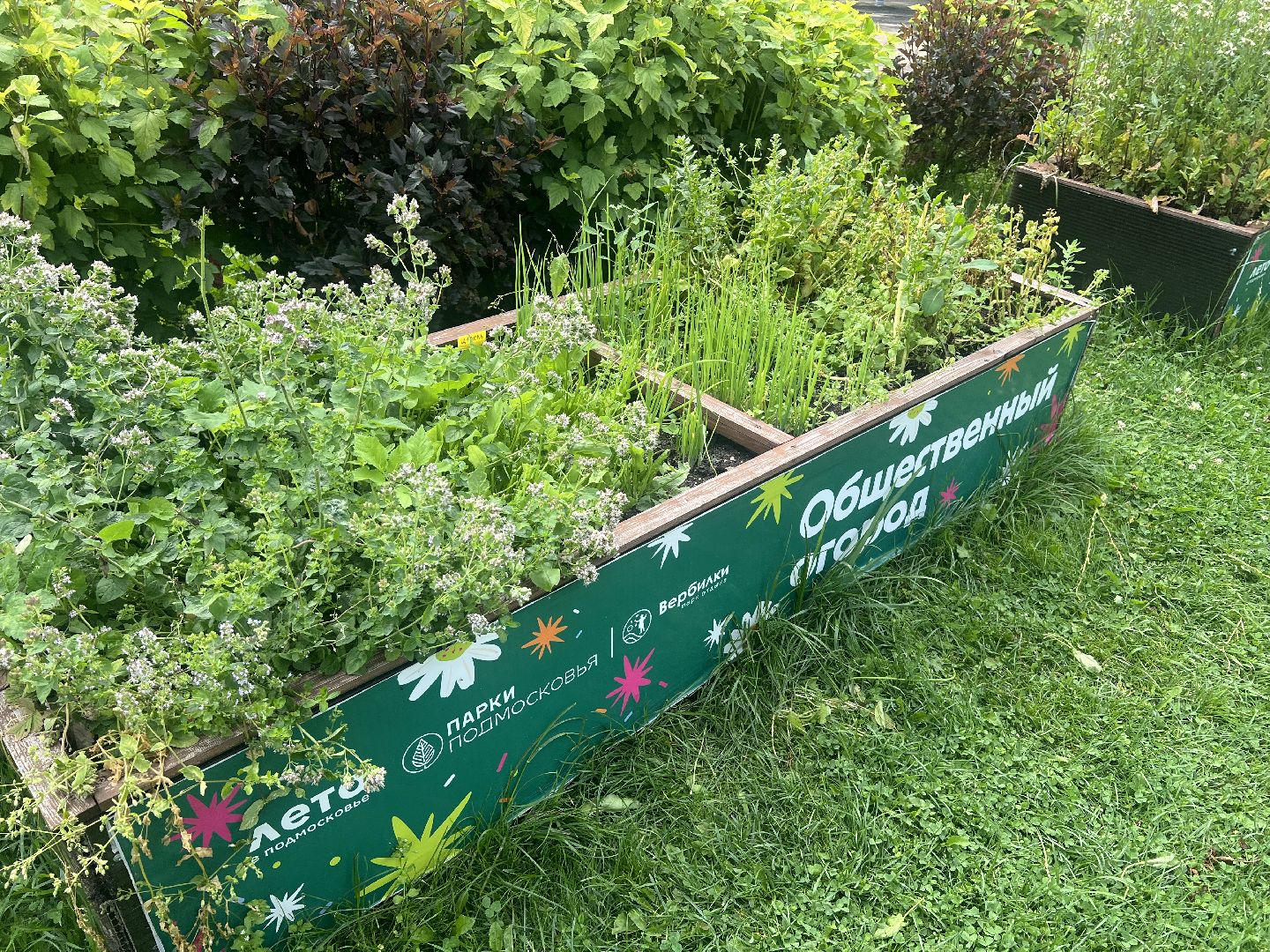 Парк вербилки, талдомский городской округ, благоустройство,