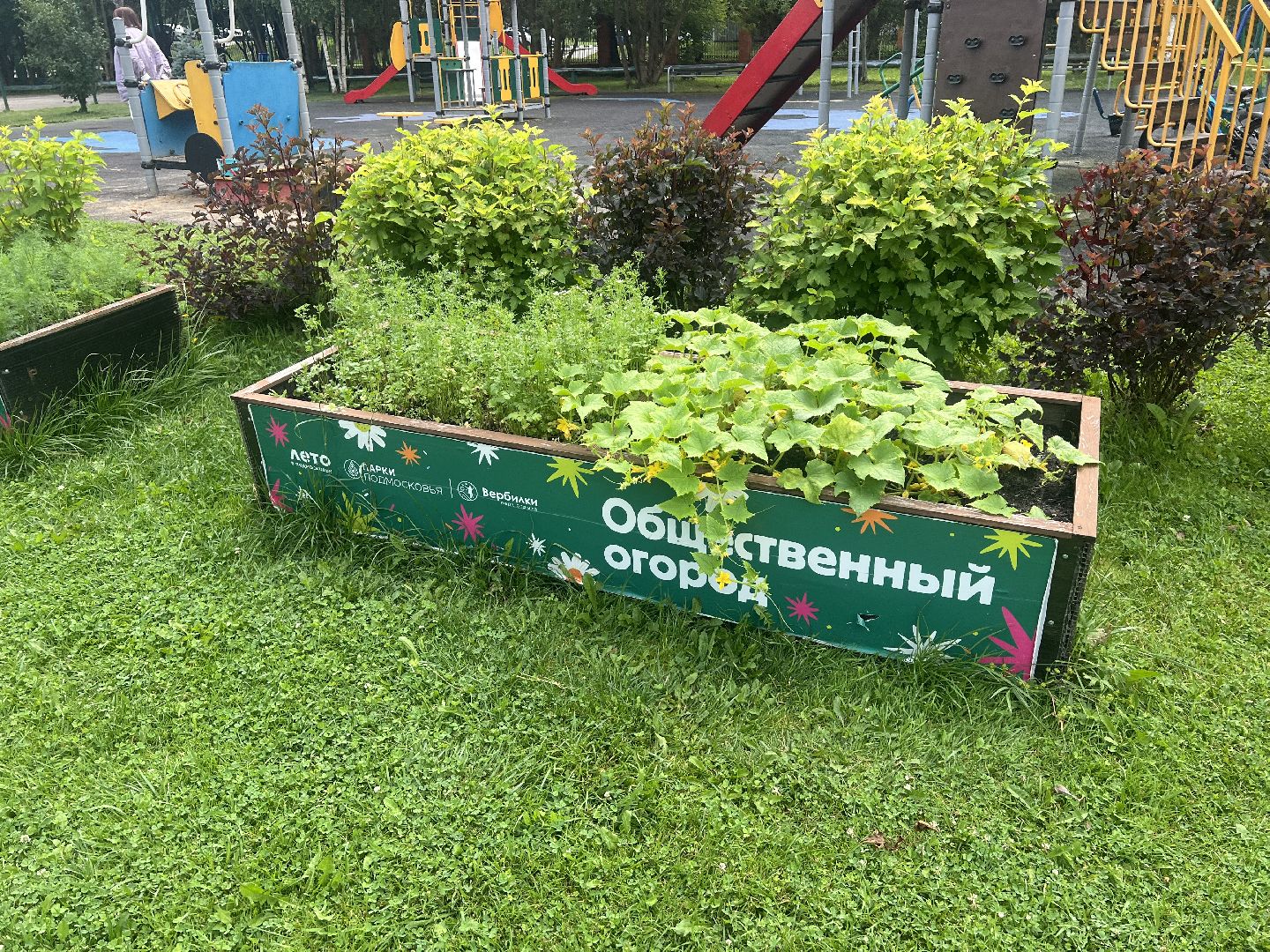Парк вербилки, талдомский городской округ, благоустройство,