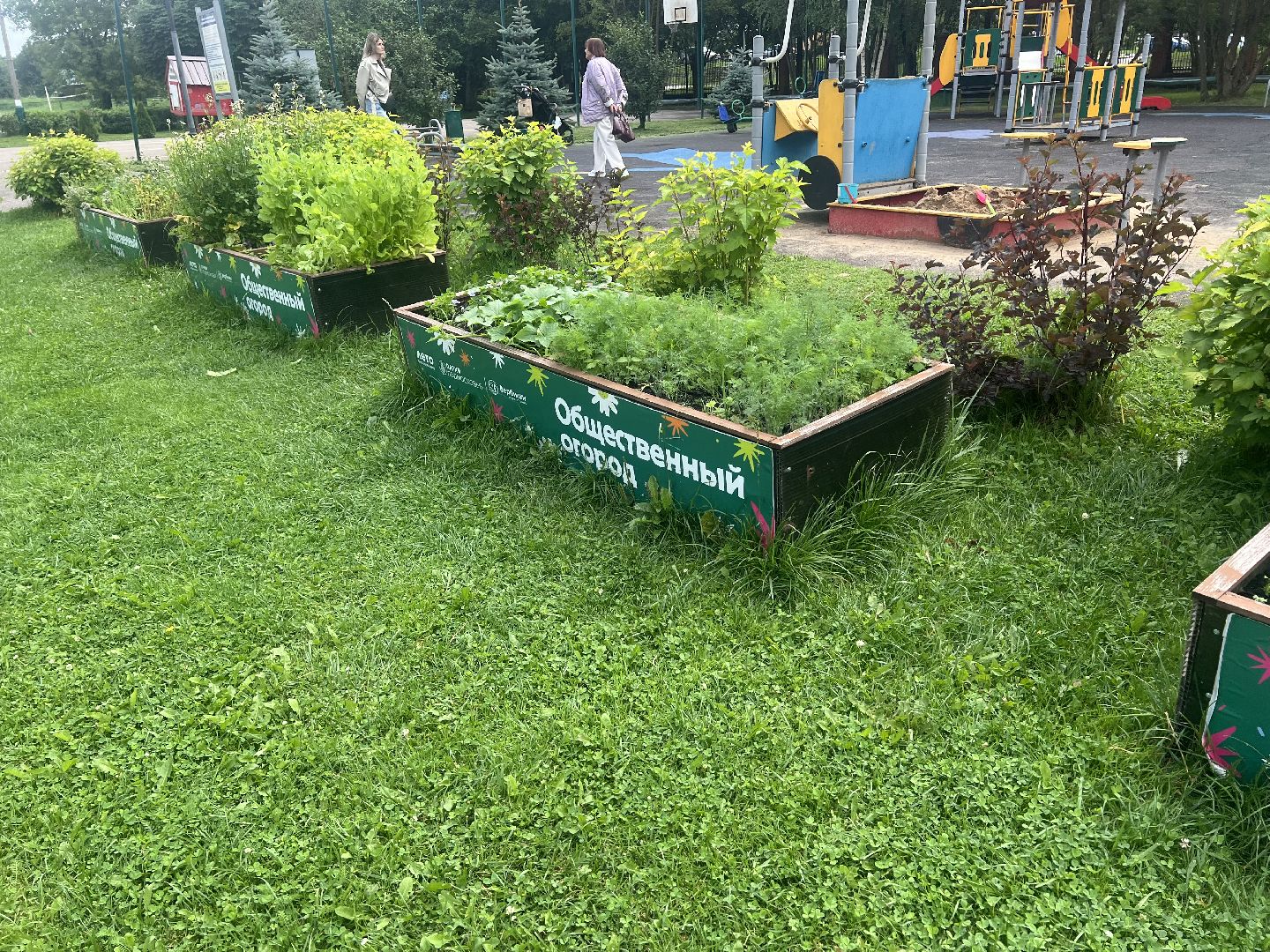 Парк вербилки, талдомский городской округ, благоустройство,
