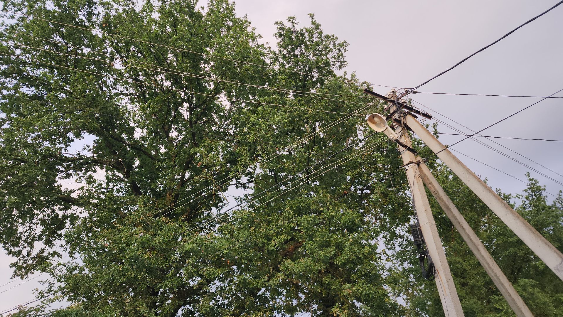 ступино, выездная администрация, безопасность,