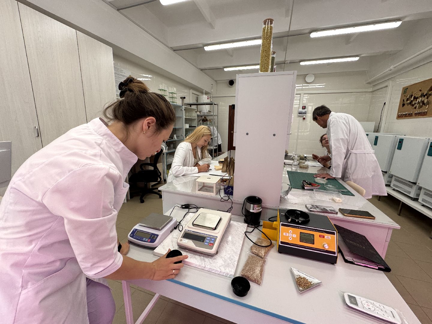 Продовольственная безопасность, Федеральный научный центр овощеводства, Доктрина, Молодежь в науке,