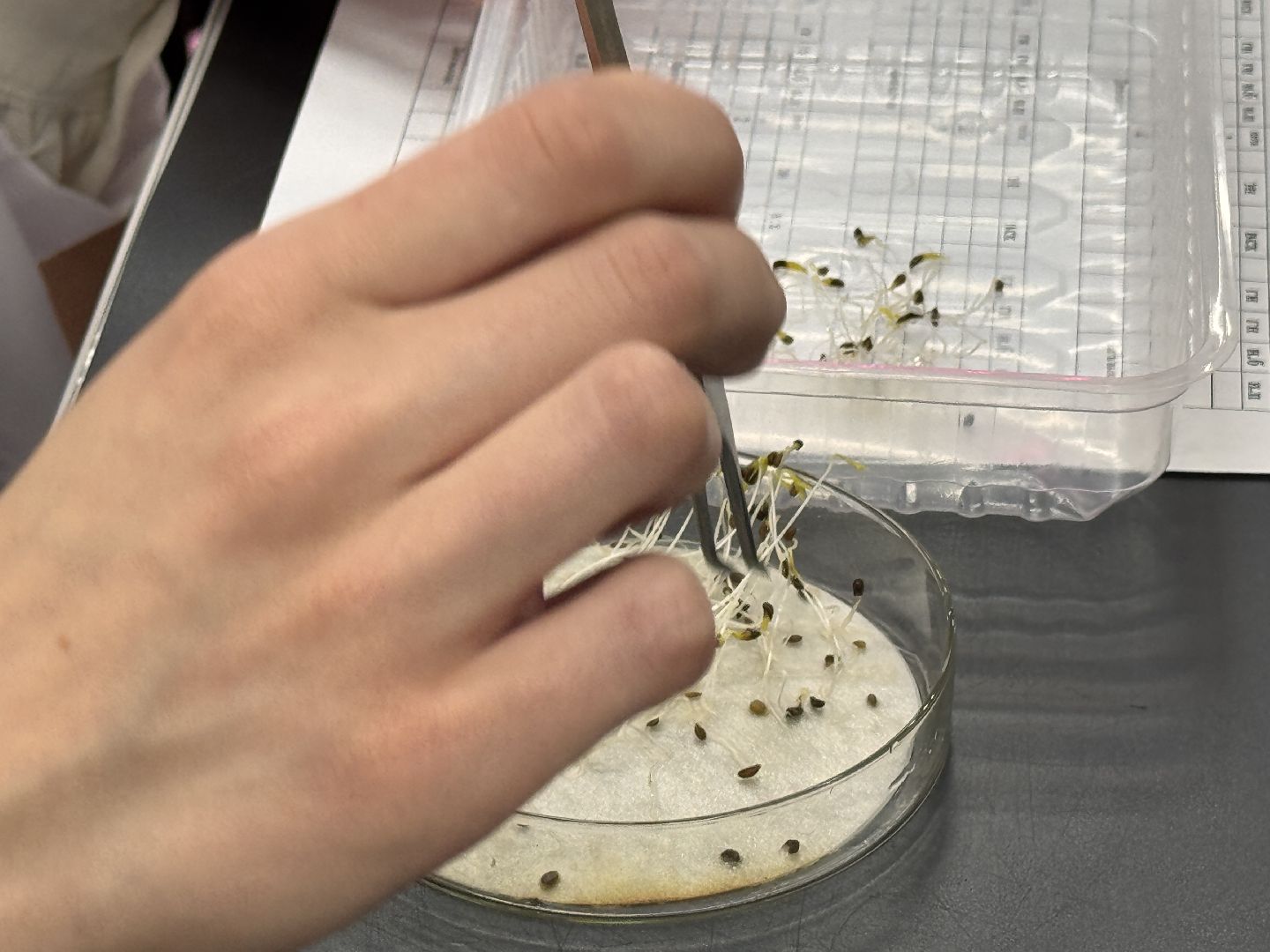 Продовольственная безопасность, Федеральный научный центр овощеводства, Доктрина, Молодежь в науке,