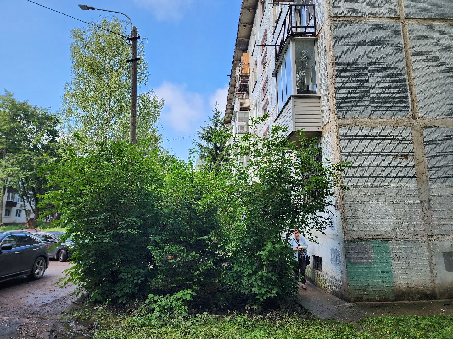 солнечногорск, жители , коммунальщики , двор, дождь,