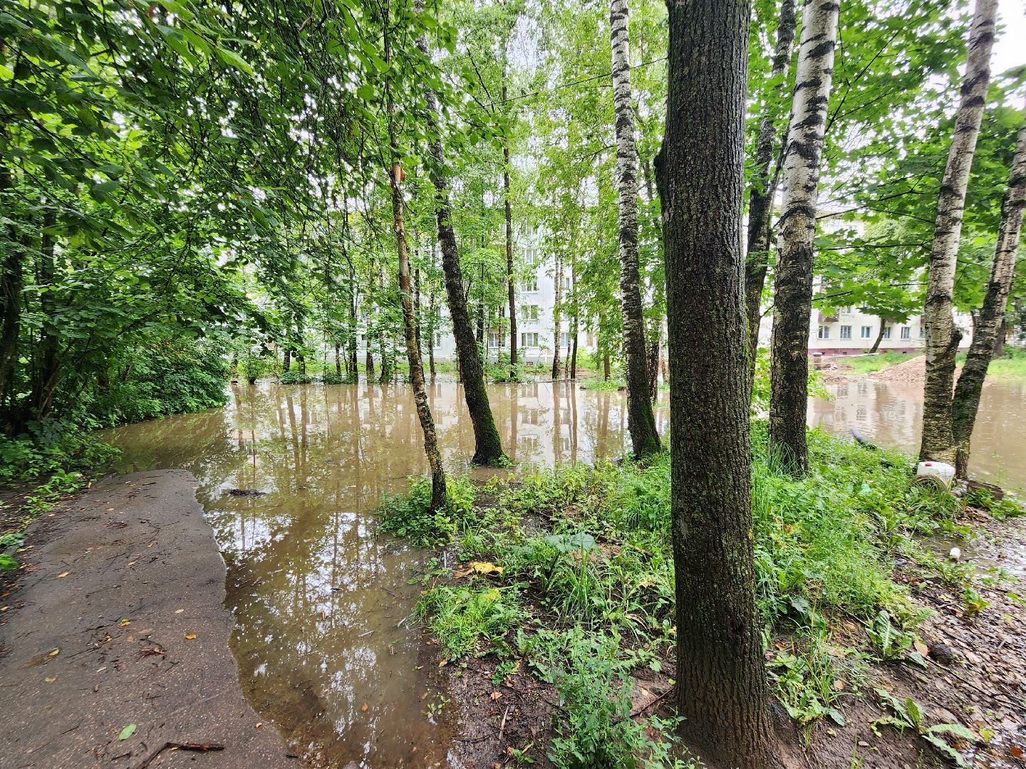 солнечногорск, жители , коммунальщики , двор, дождь,