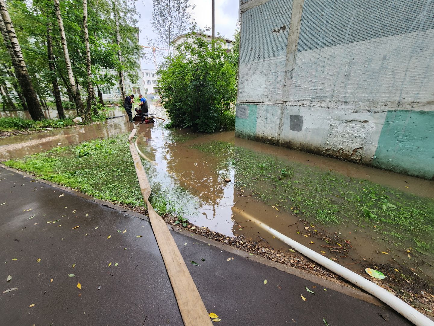 солнечногорск, жители , коммунальщики , двор, дождь,