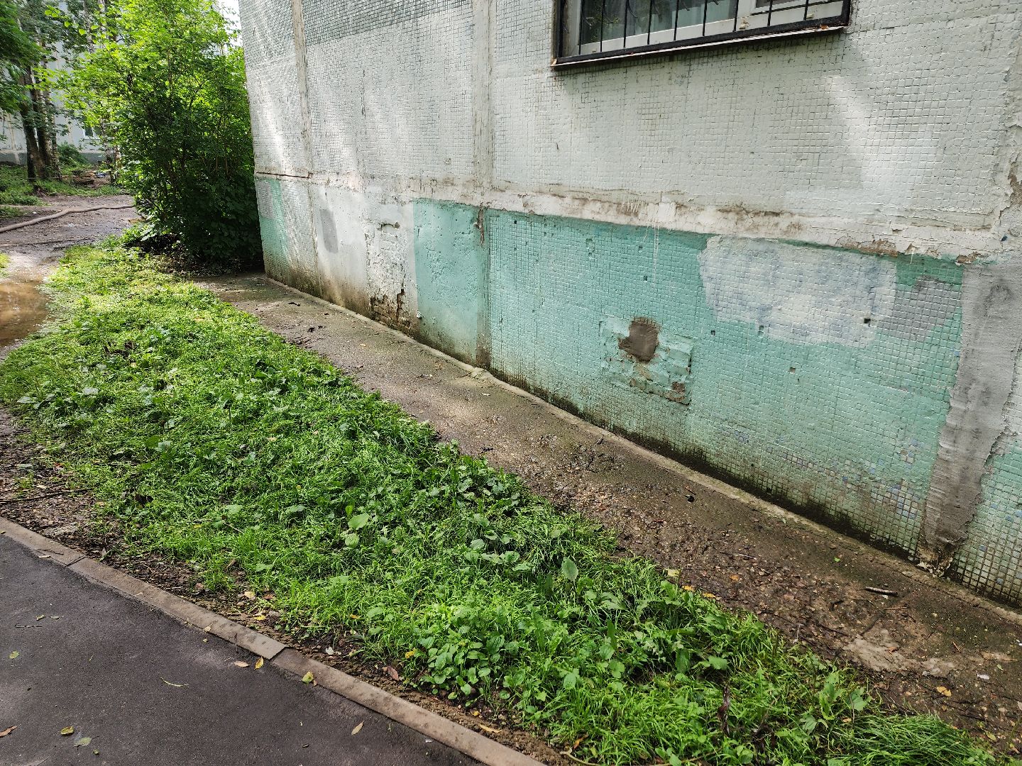 солнечногорск, жители , коммунальщики , двор, дождь,