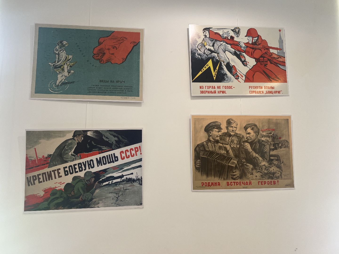 Вербилки , Библиотека , талдомский городской округ, выстовка,